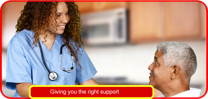 About Rose Of Sharon